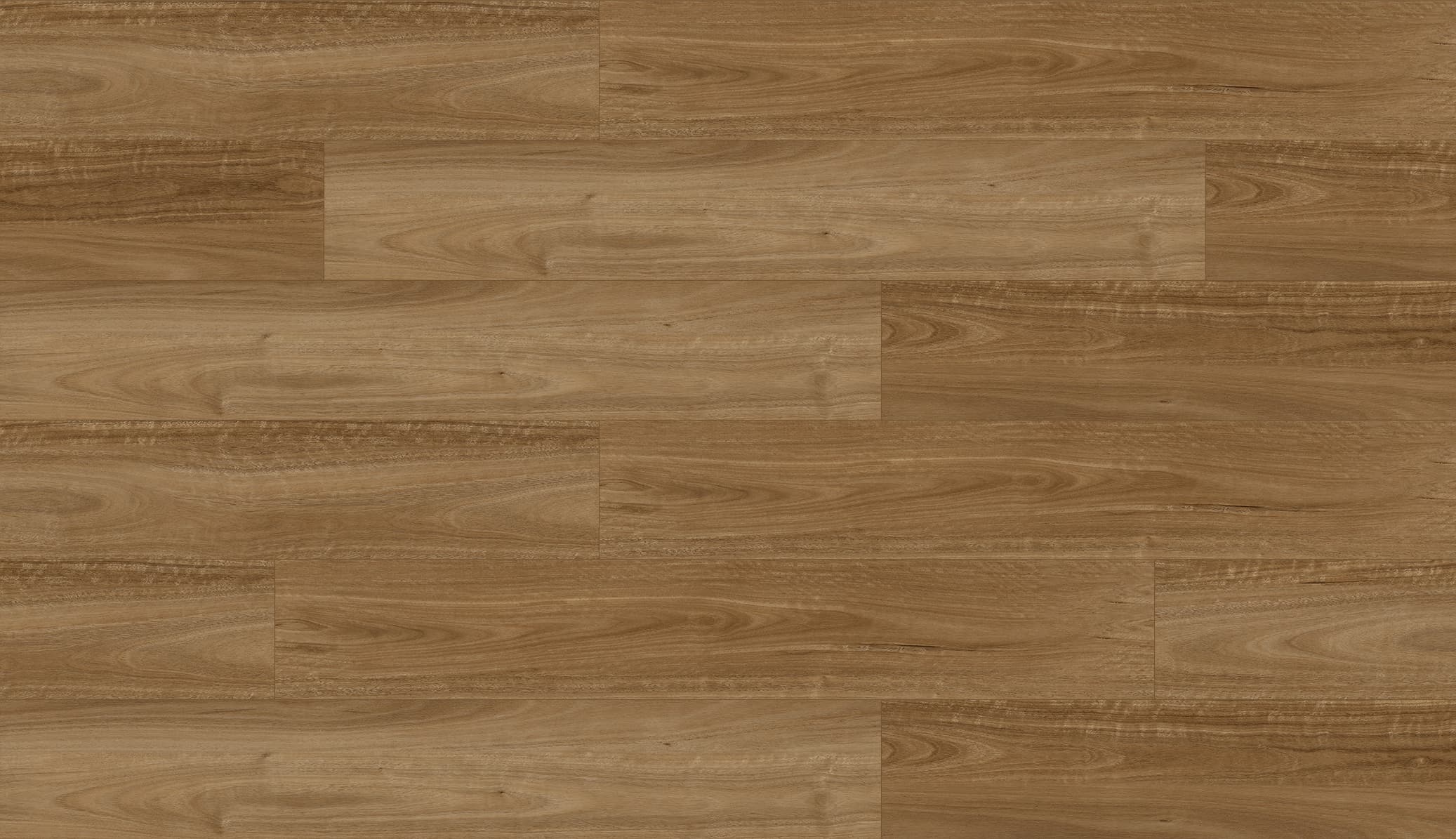 Spotted Gum