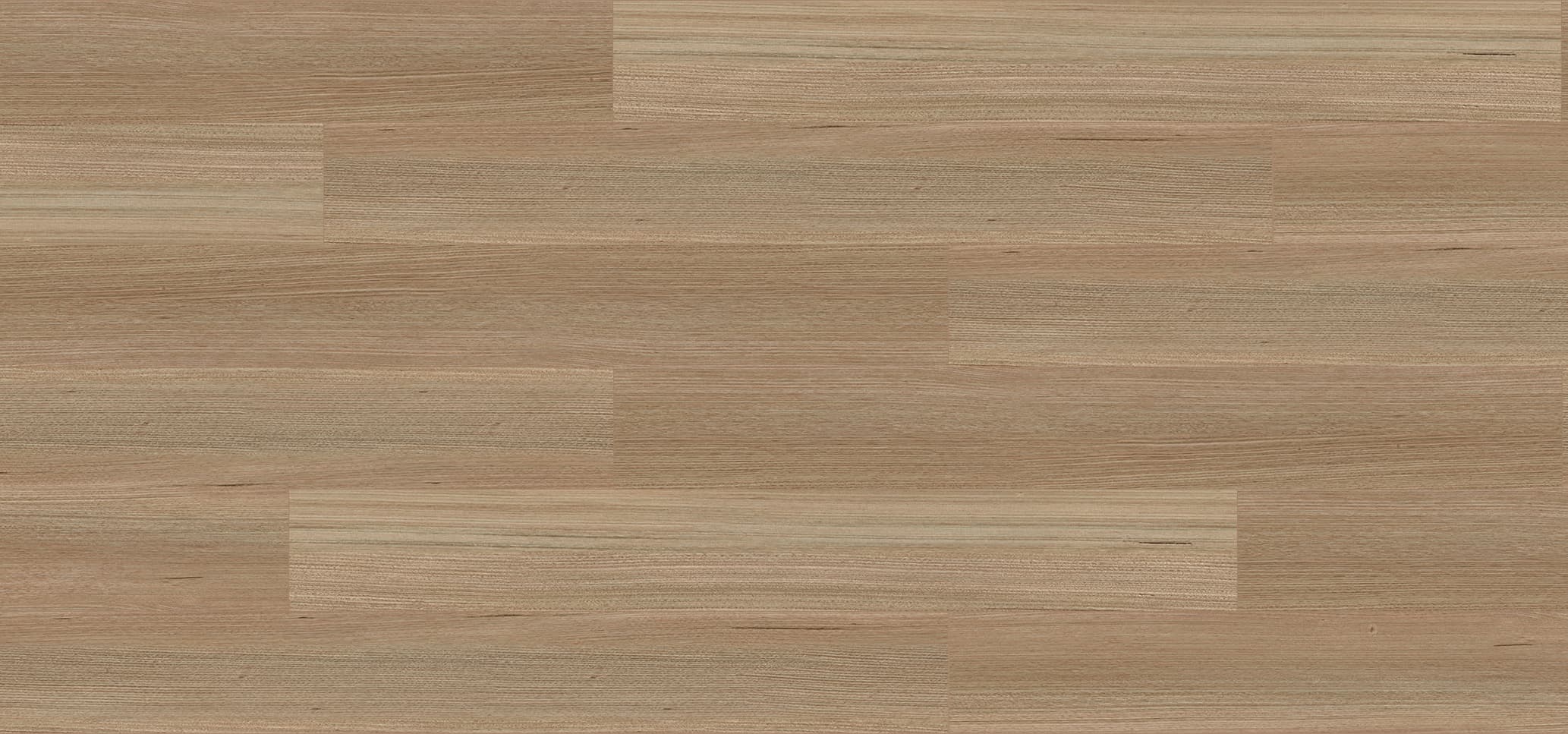 Tasmanian Oak