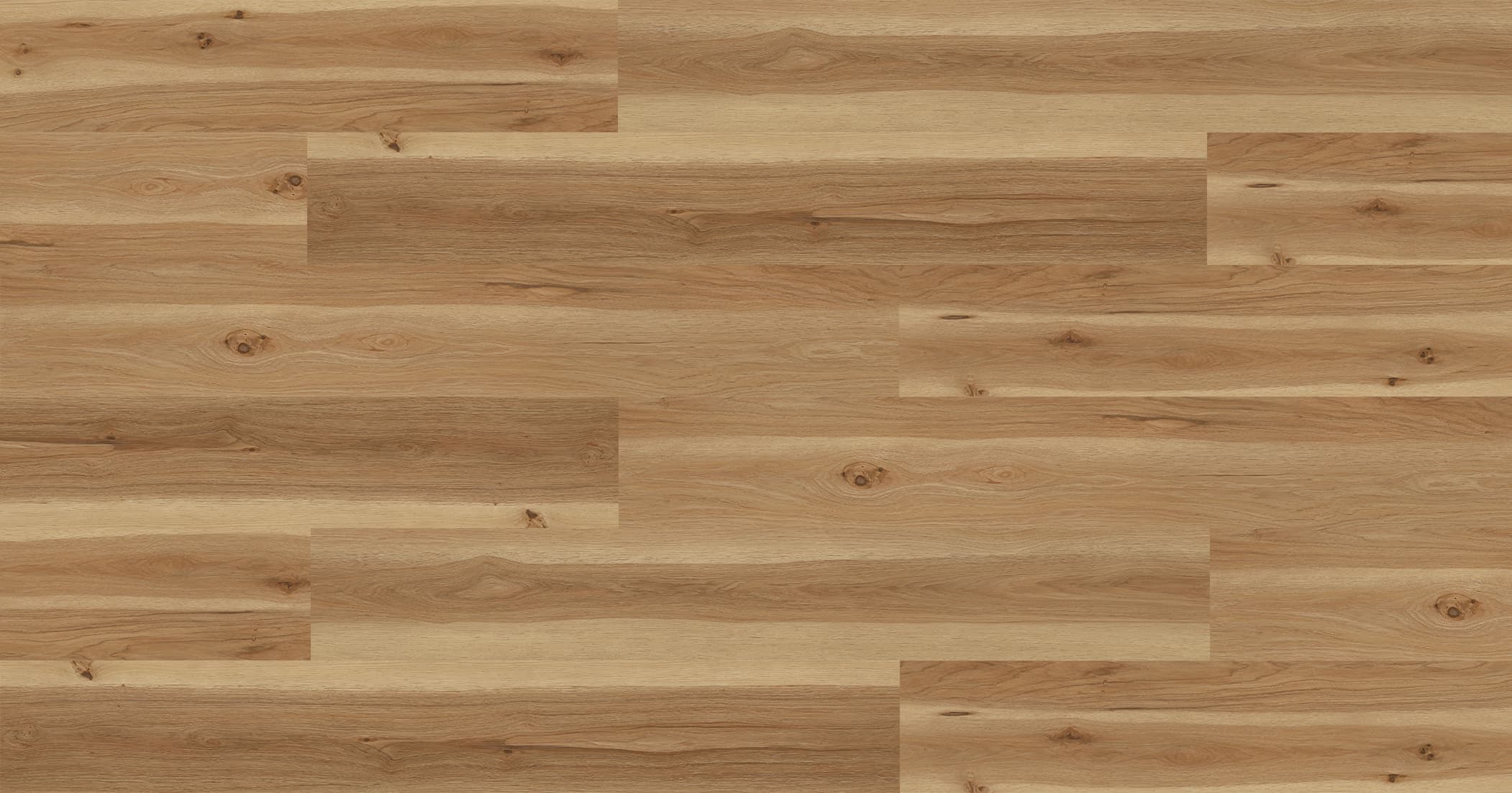 Hickory