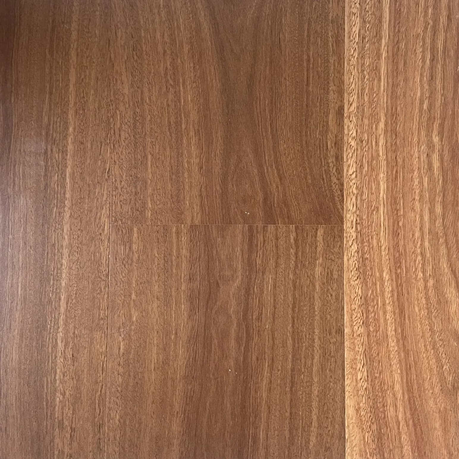 Spotted Gum