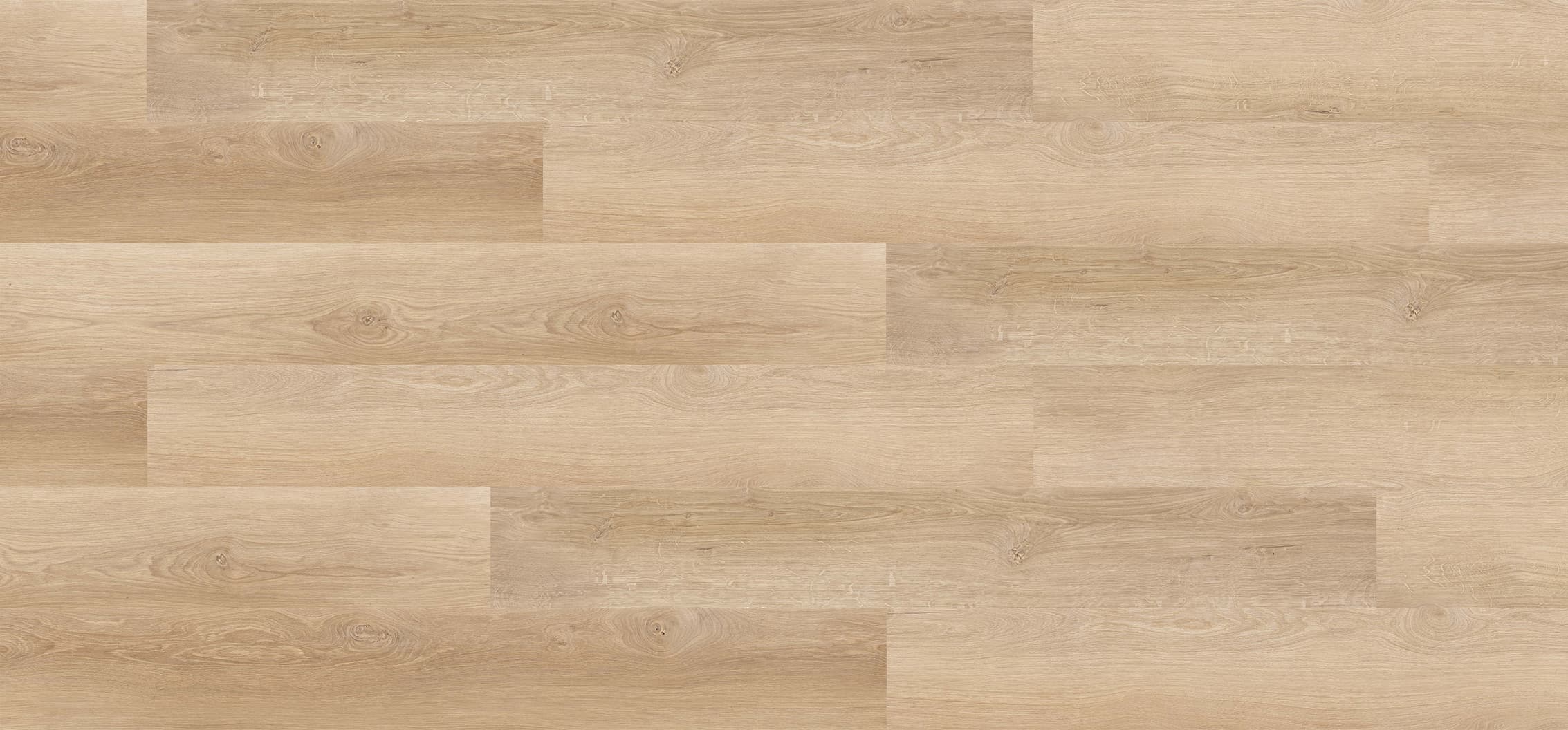 Desert Oak