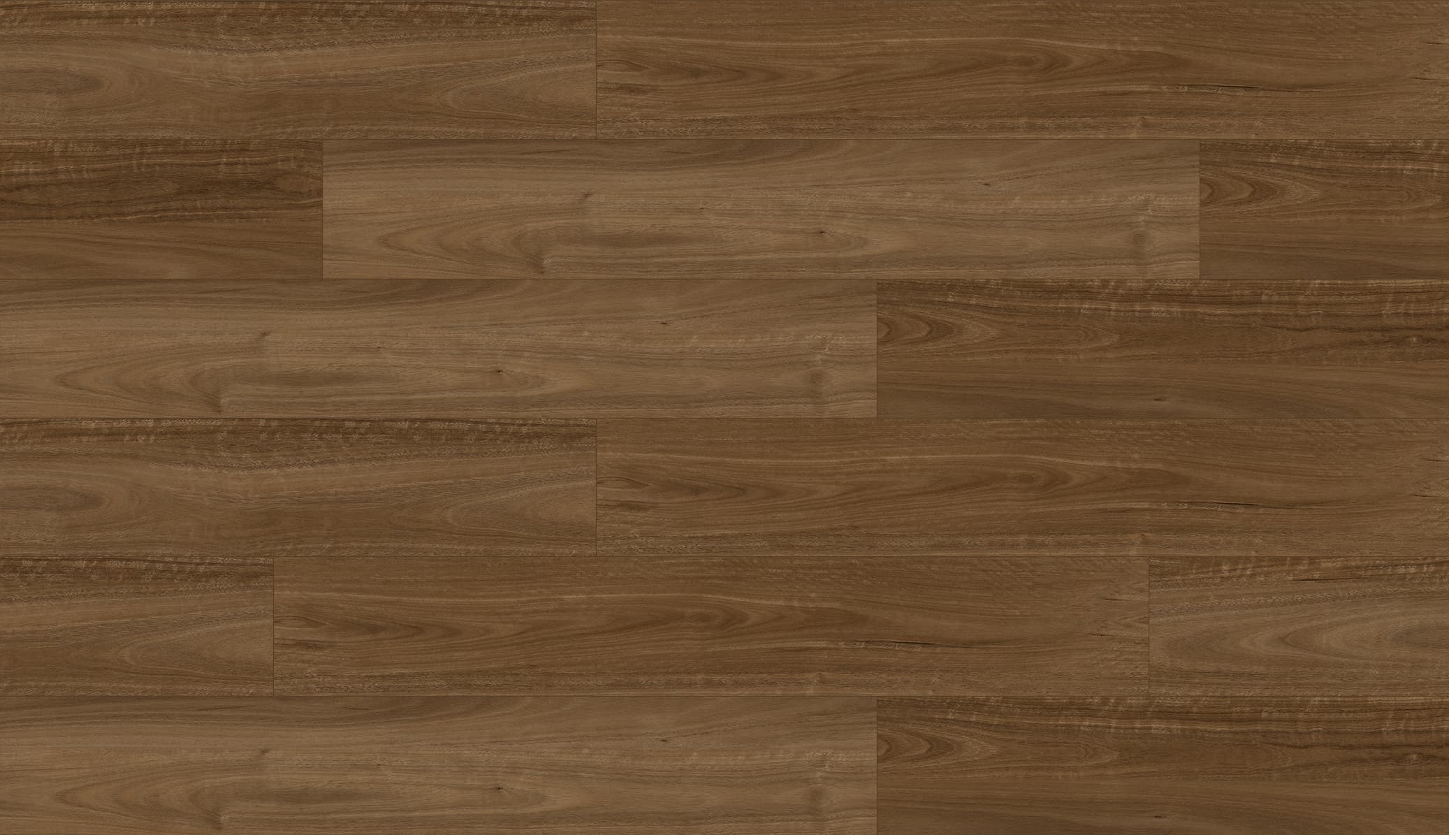 Spotted Gum