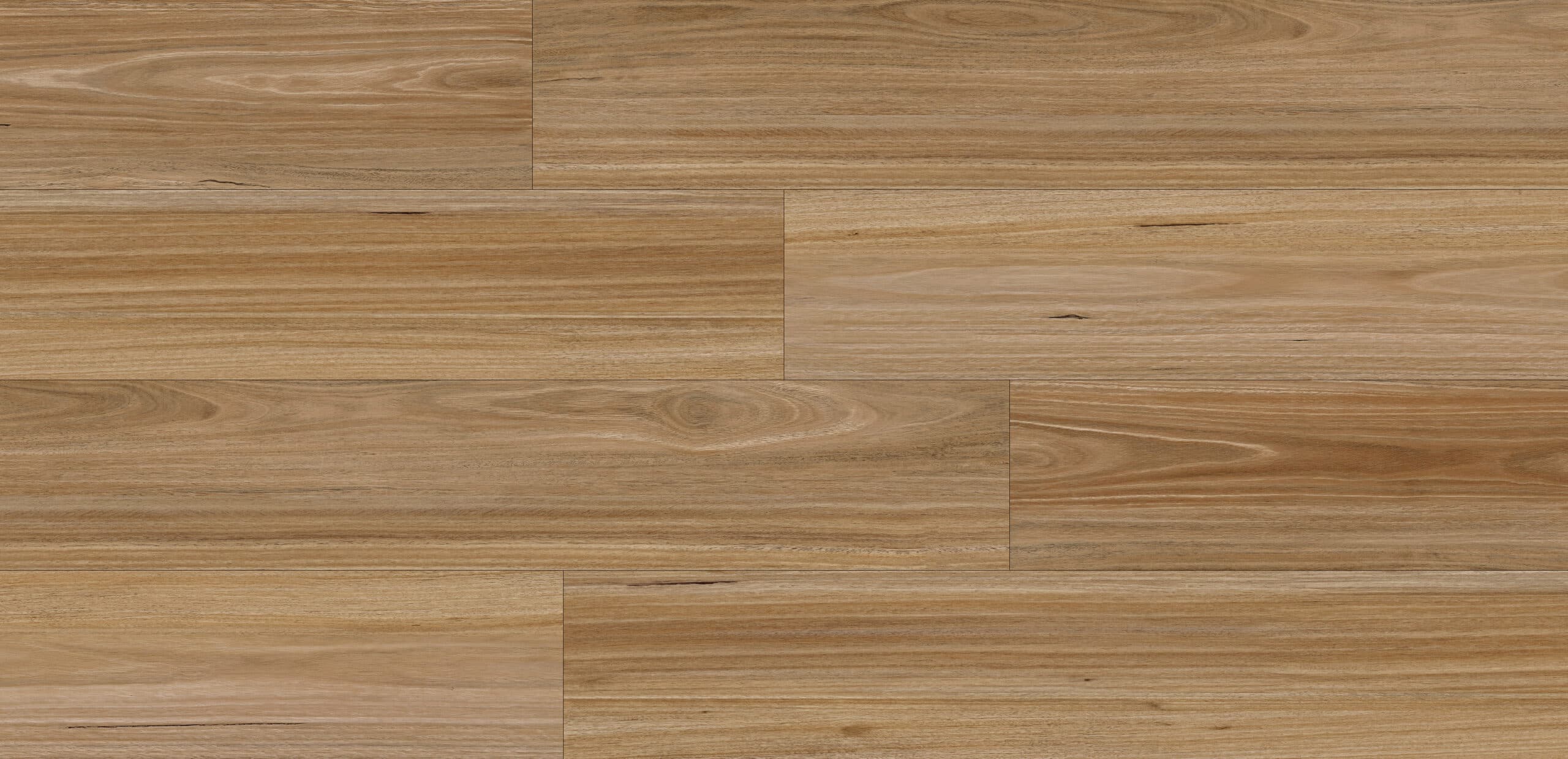 Light Spotted Gum
