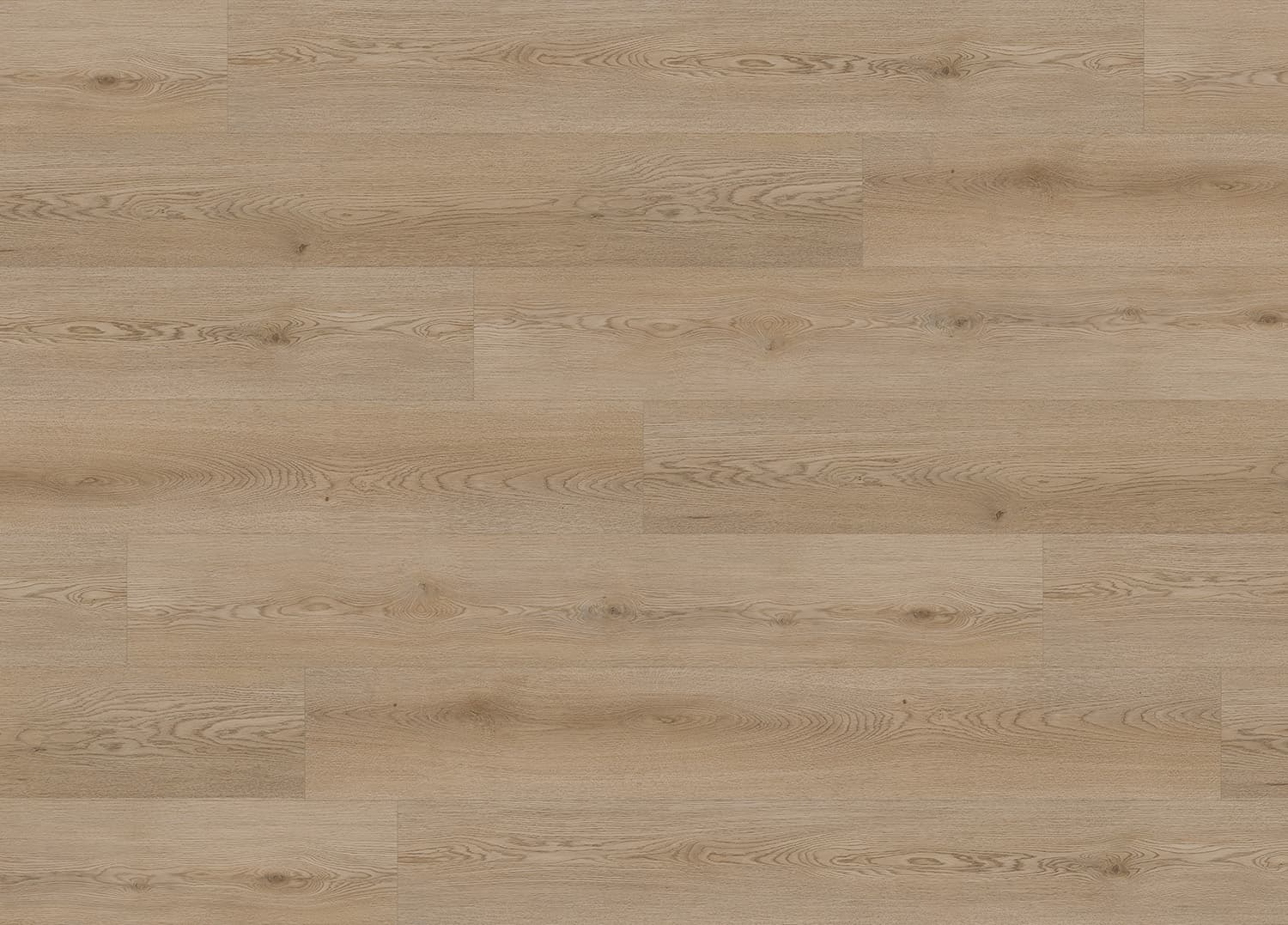 Woodland Oak