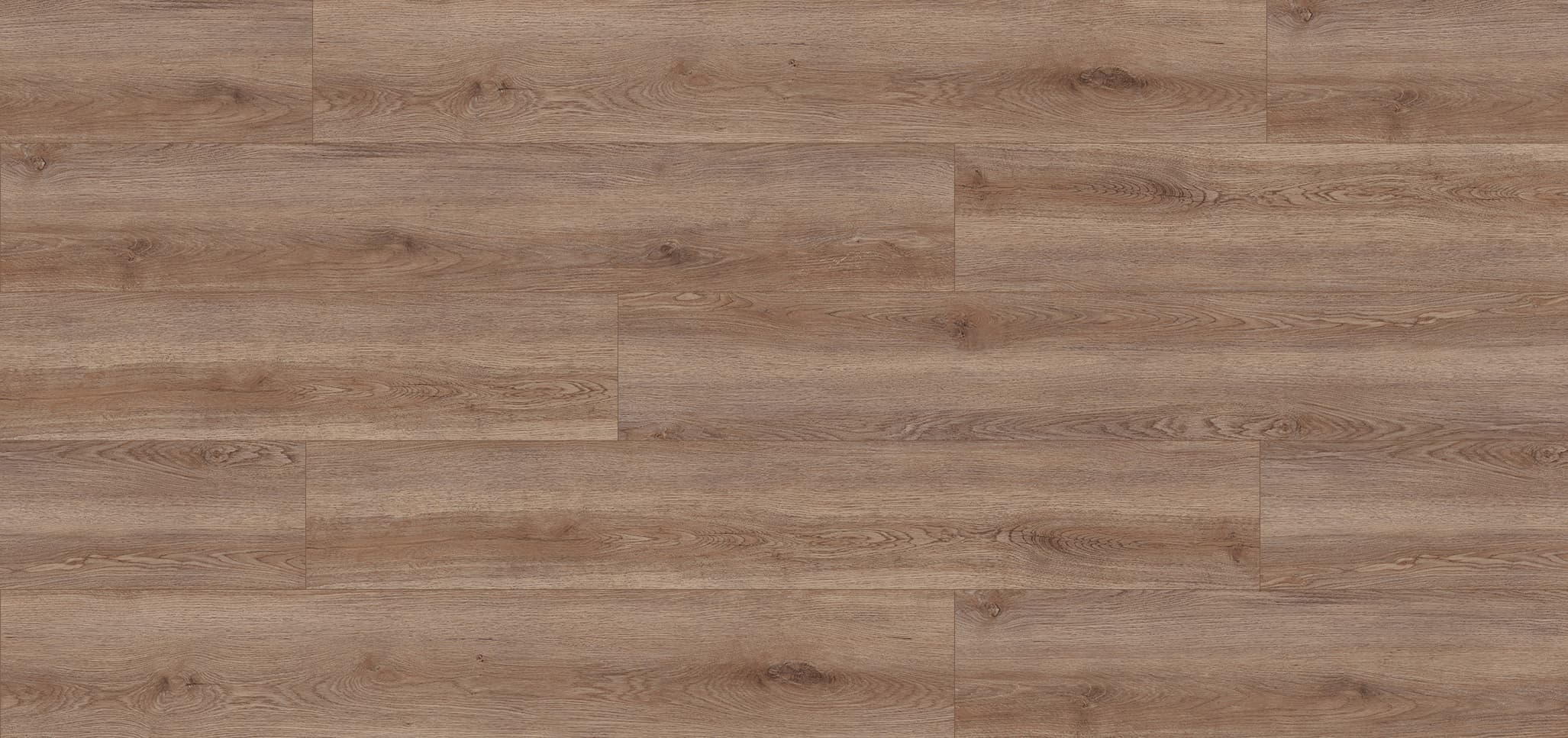 Ivory Ash