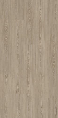Champagne Oak