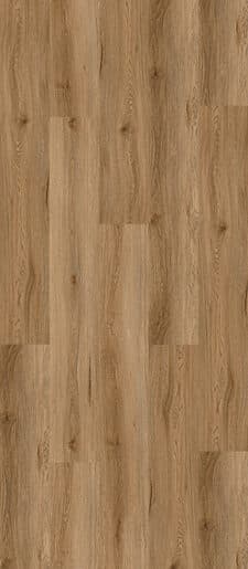 Coastal Spotted Gum