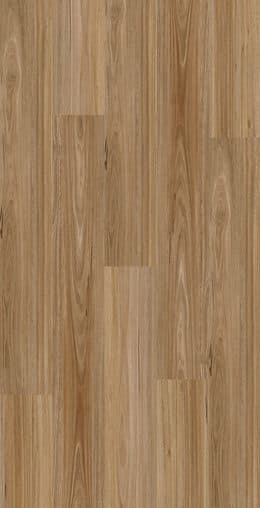 Light Spotted Gum
