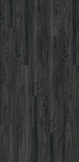 Midnight Oak