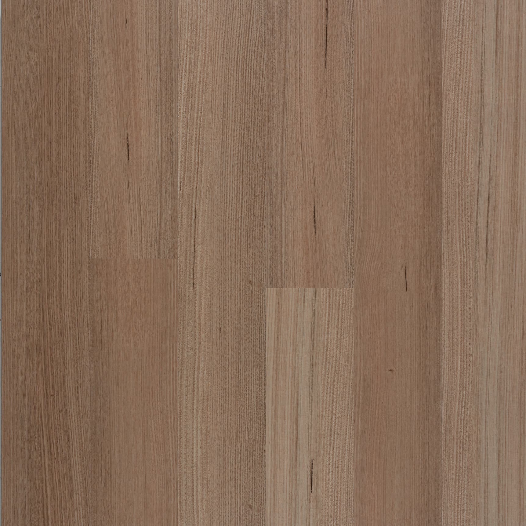 Tasmania Oak