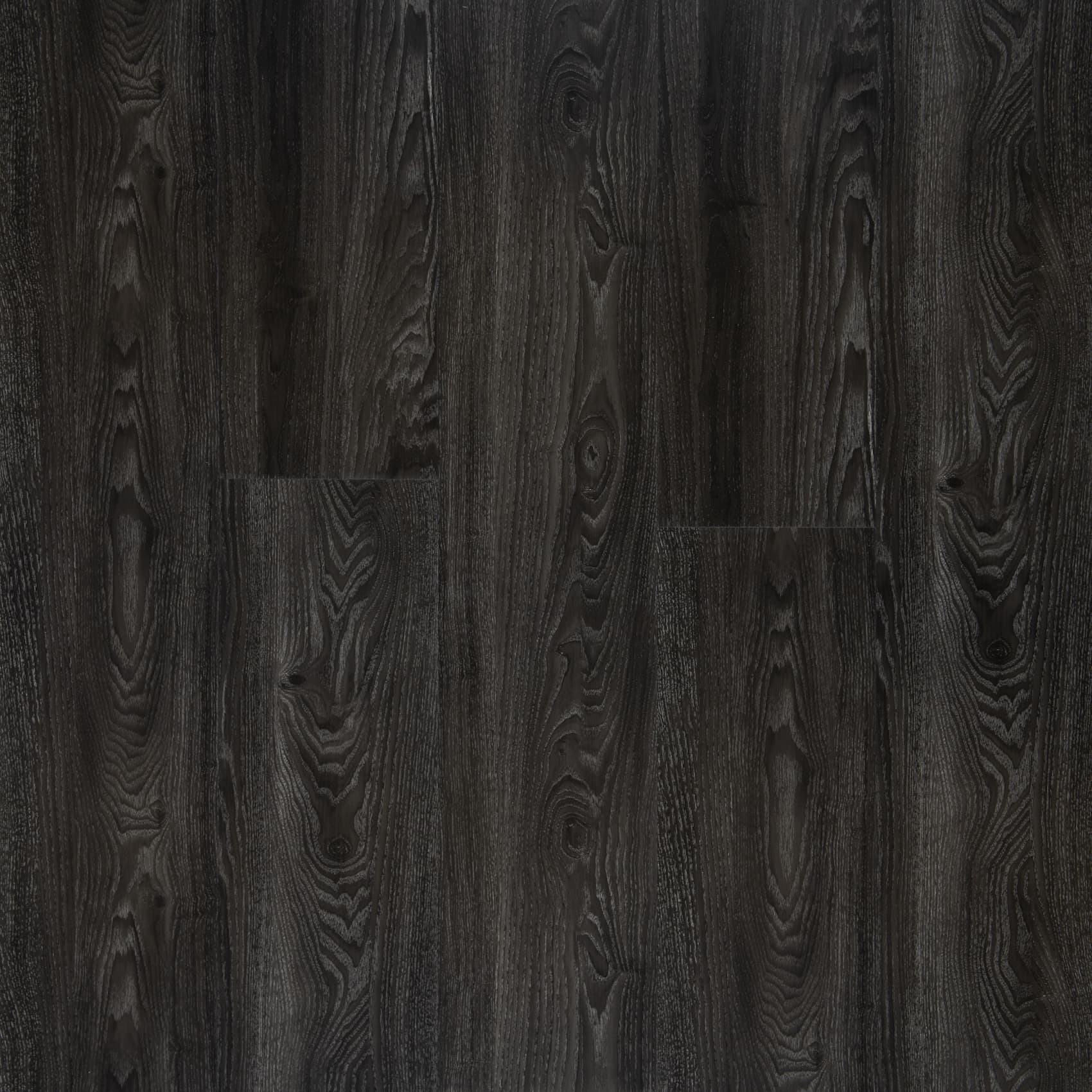 Midnight Oak