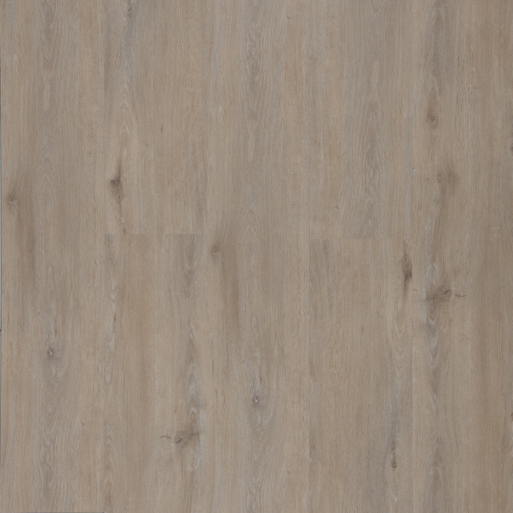 Coastal Limed Oak