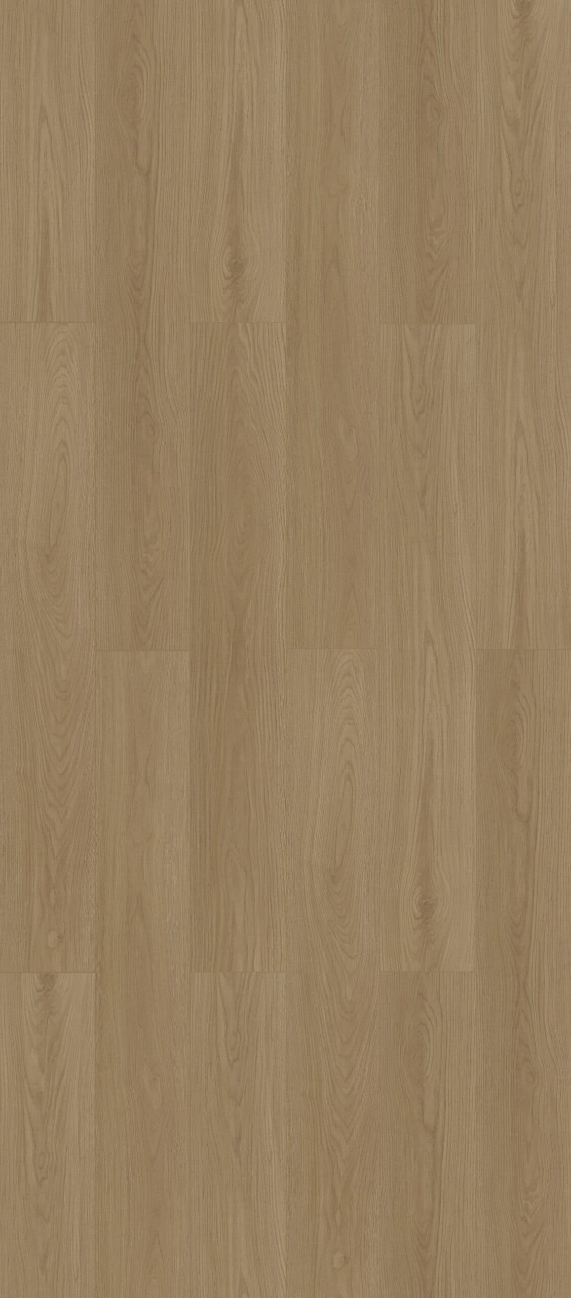 Limestone Oak