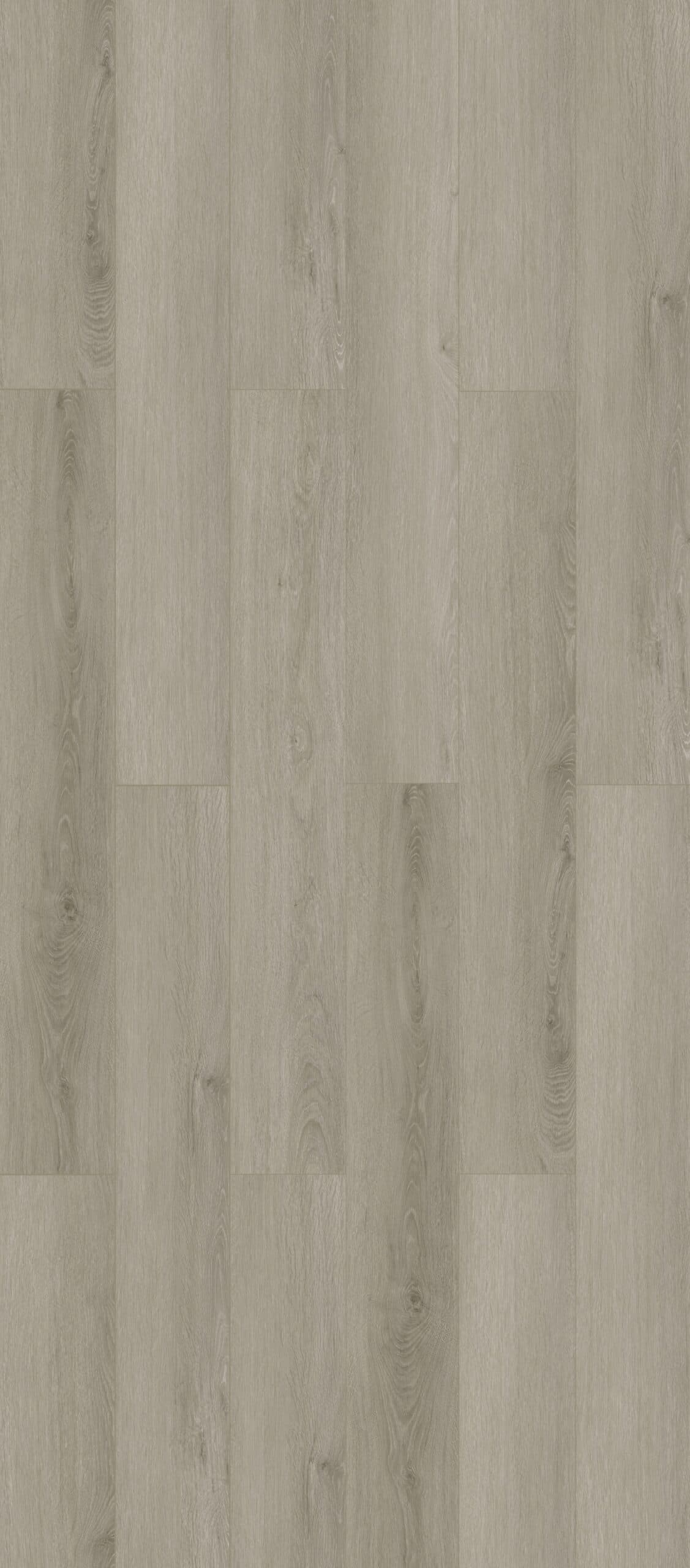 Salt Grey