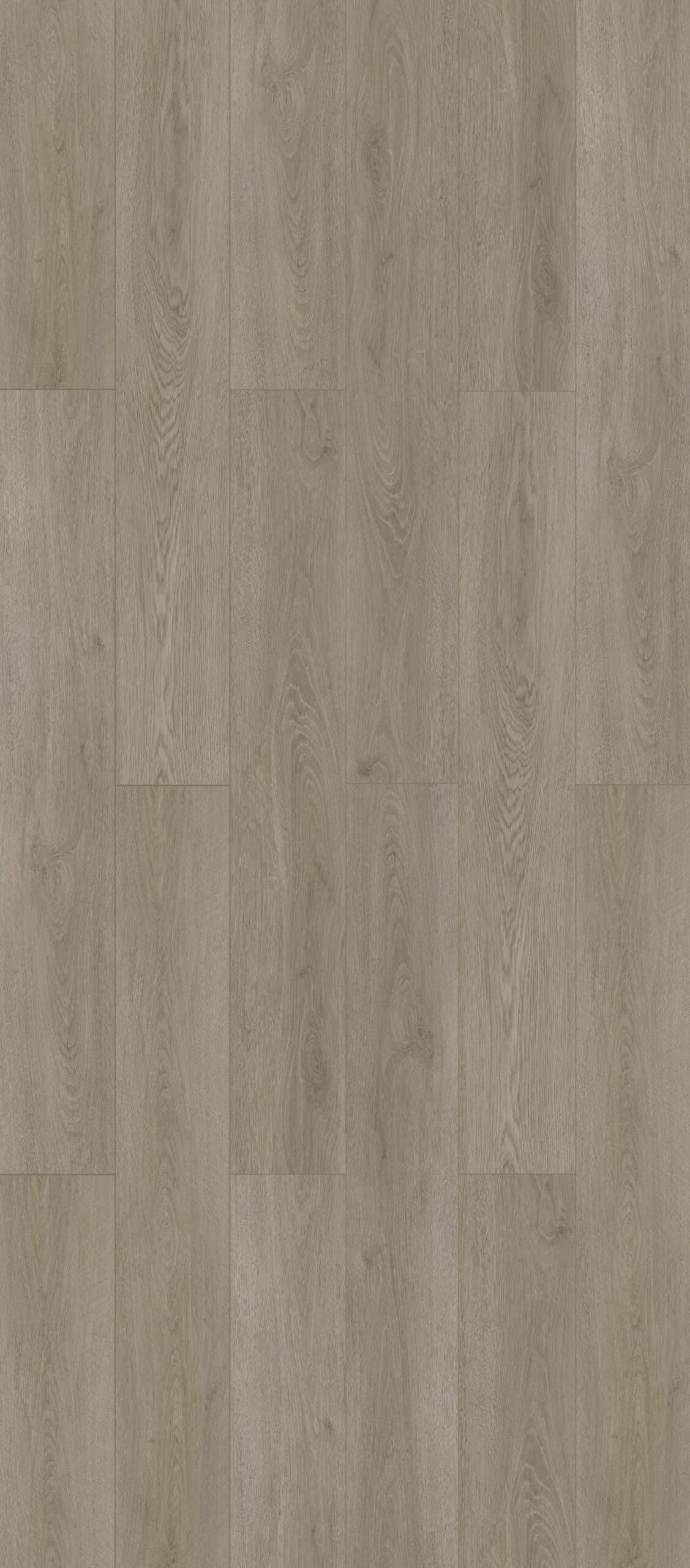 Fogwood
