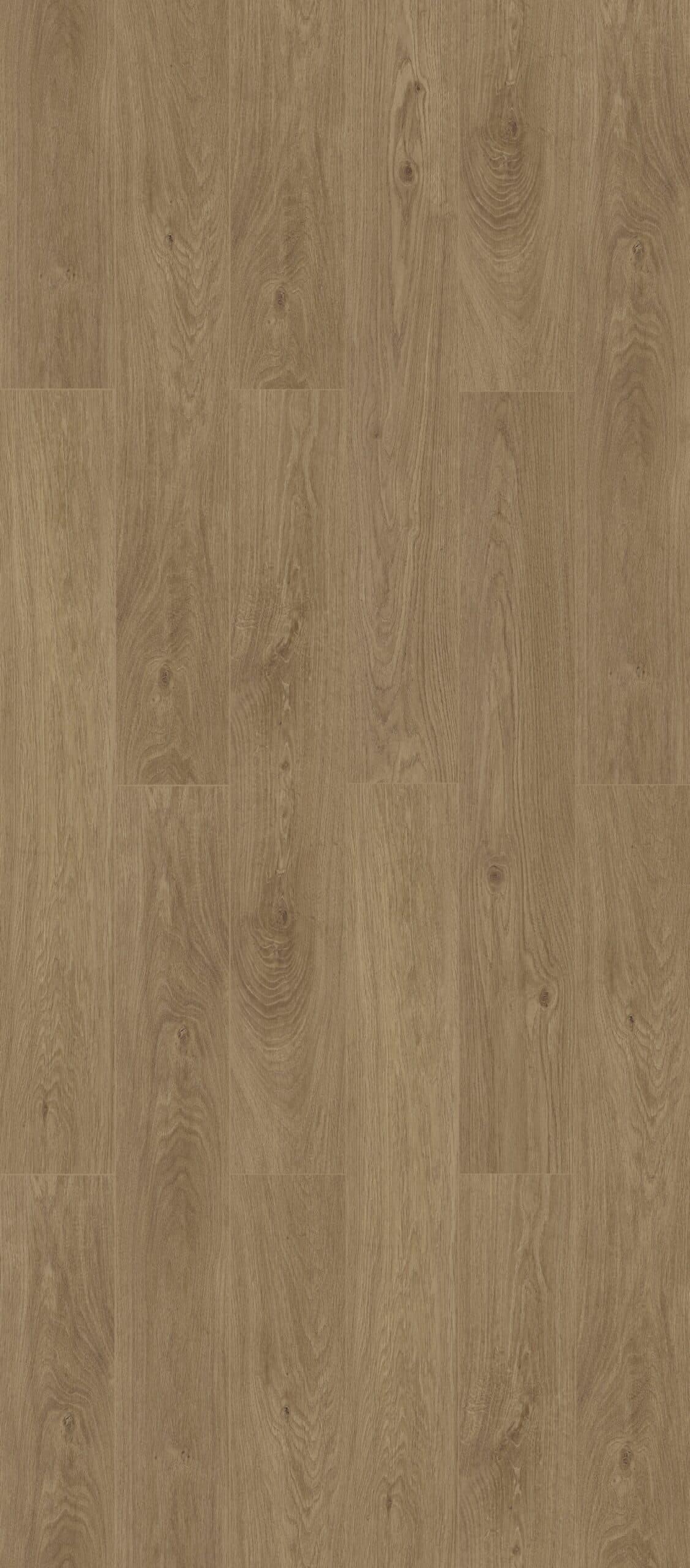 Fossil Oak