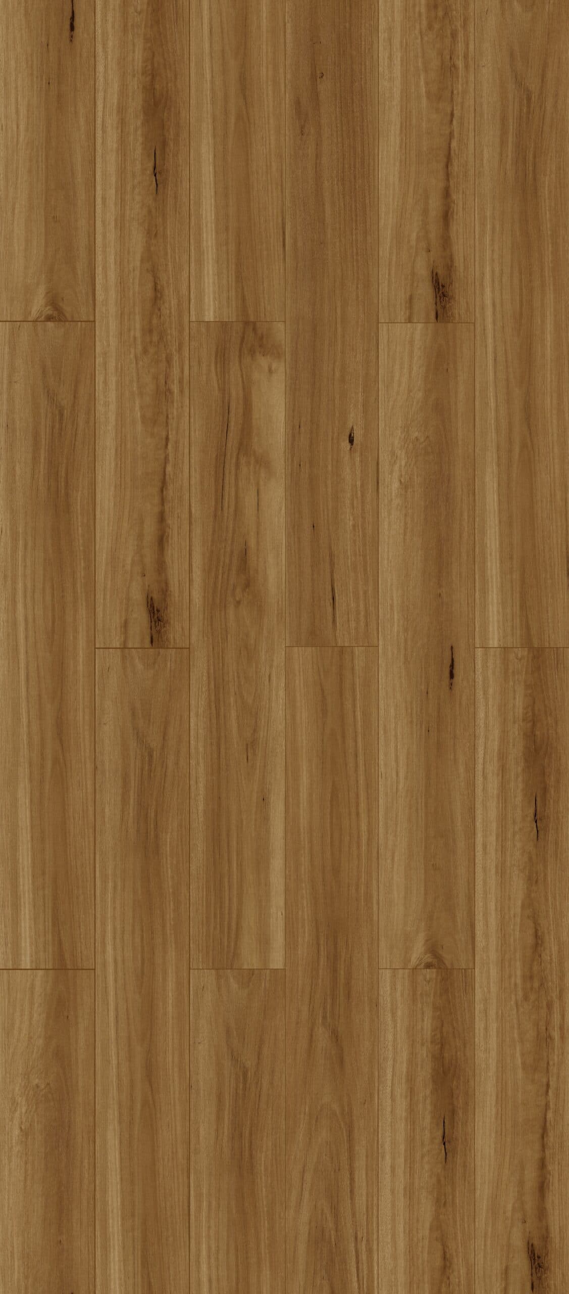 Outback Oak
