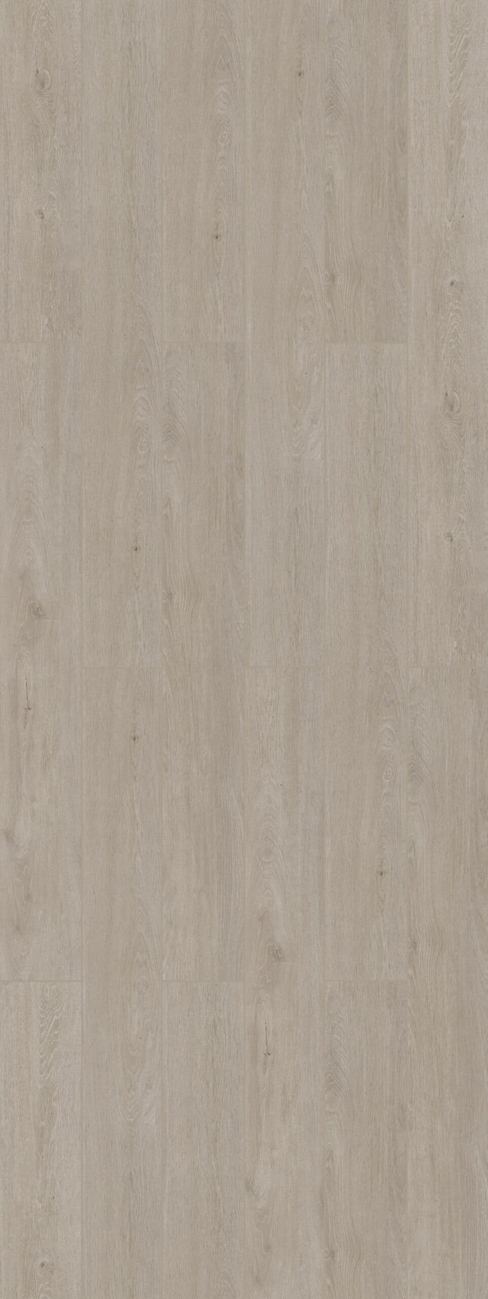 Mist Grey