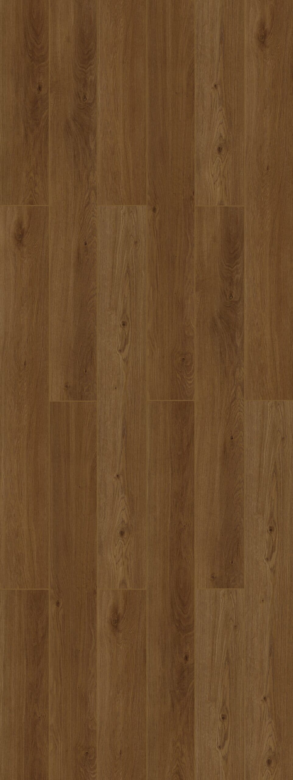 Cinder Oak
