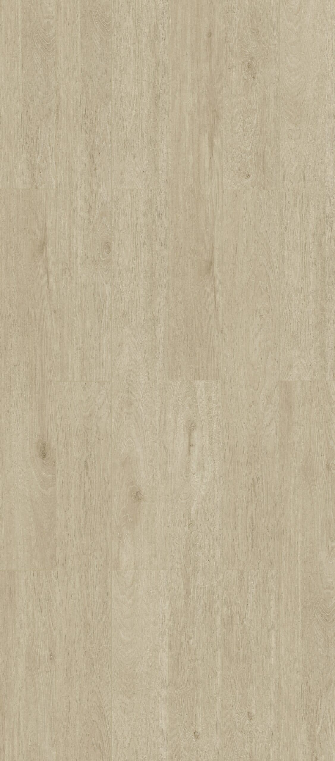Clouded Birch