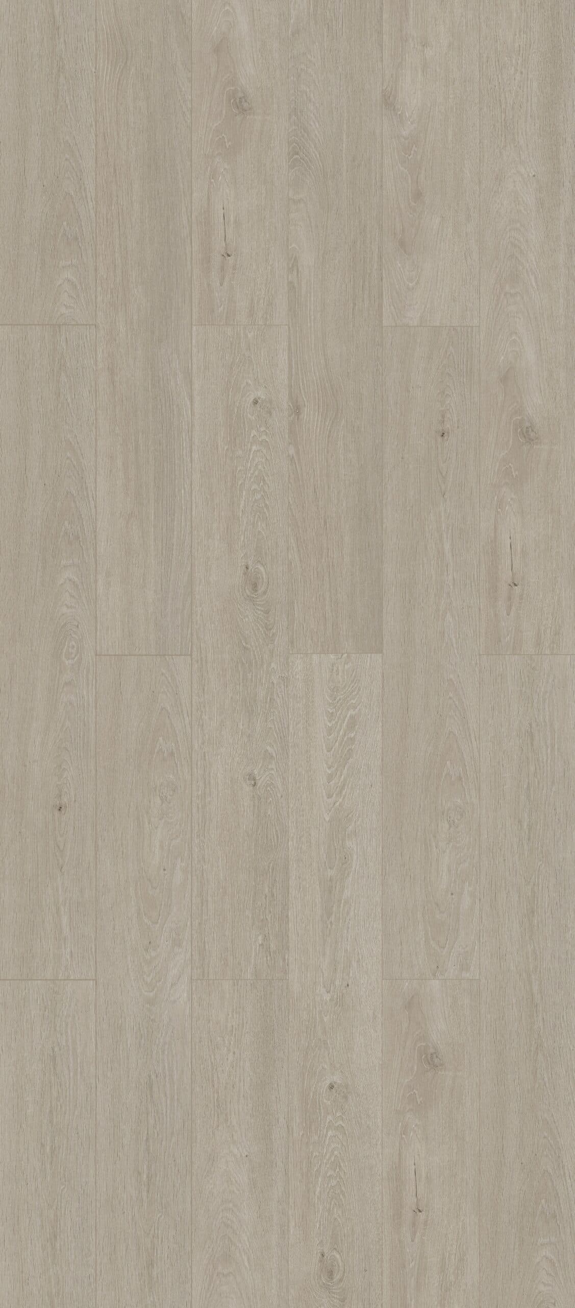 Mist Grey