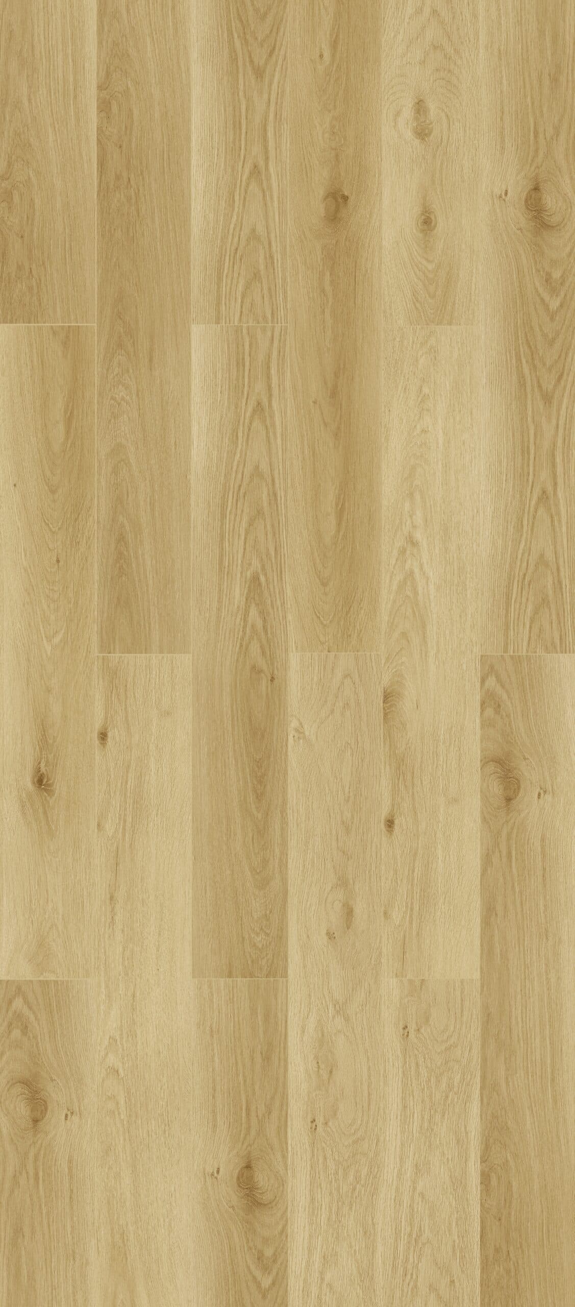 Dune Oak