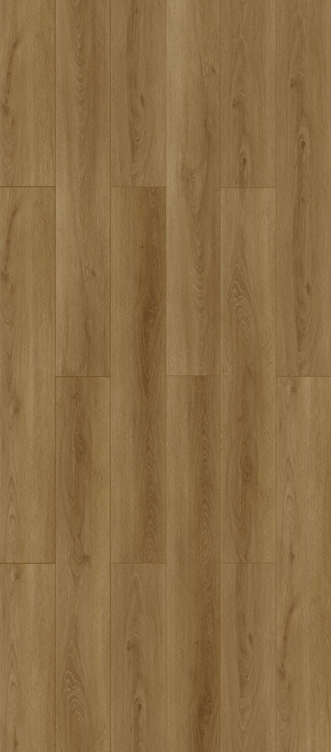 Almond Oak