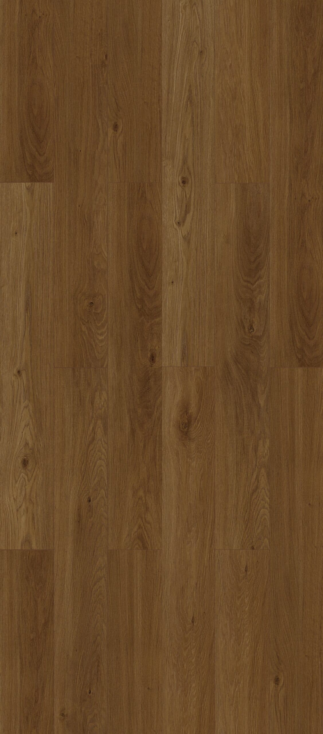 Cinder Oak
