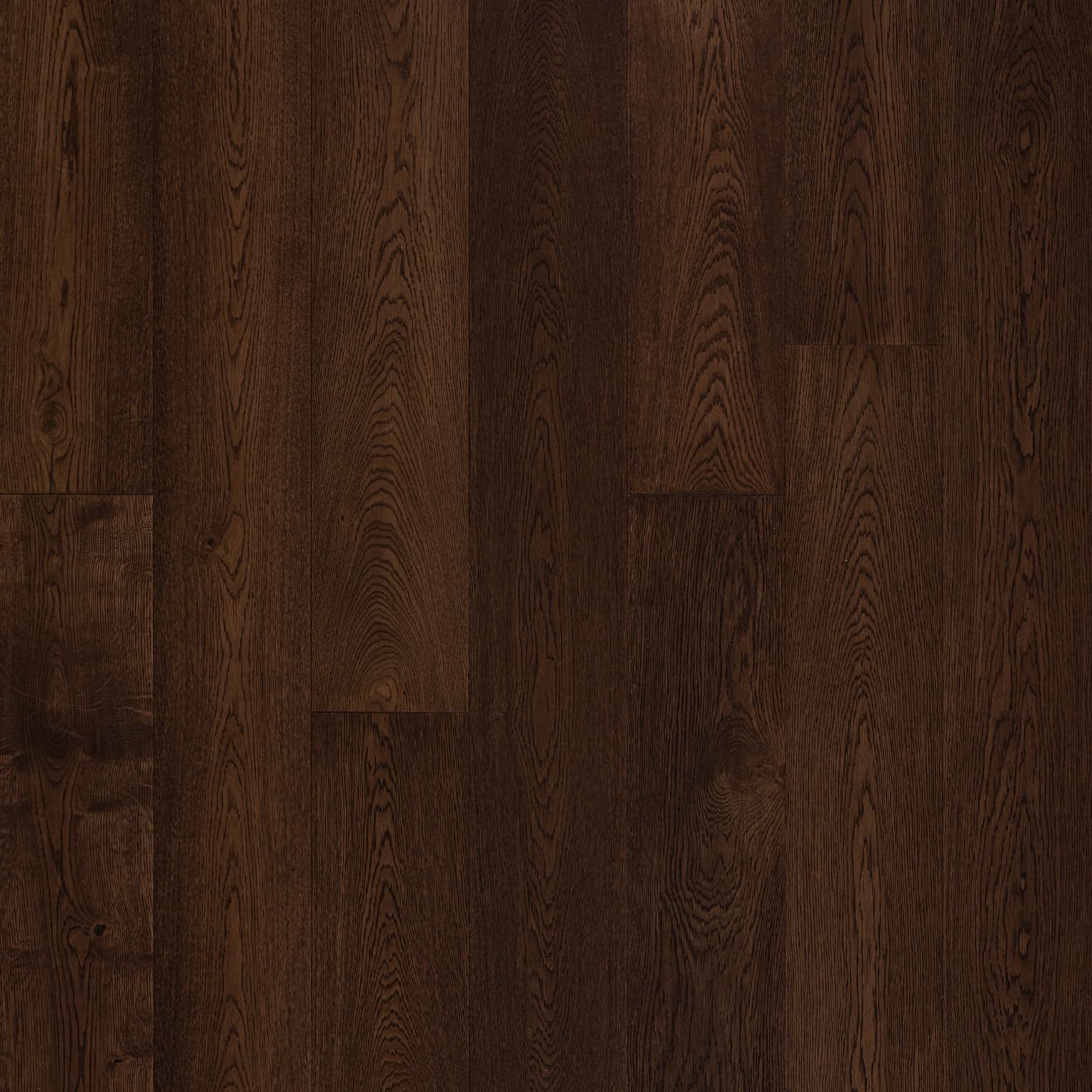 American Walnut