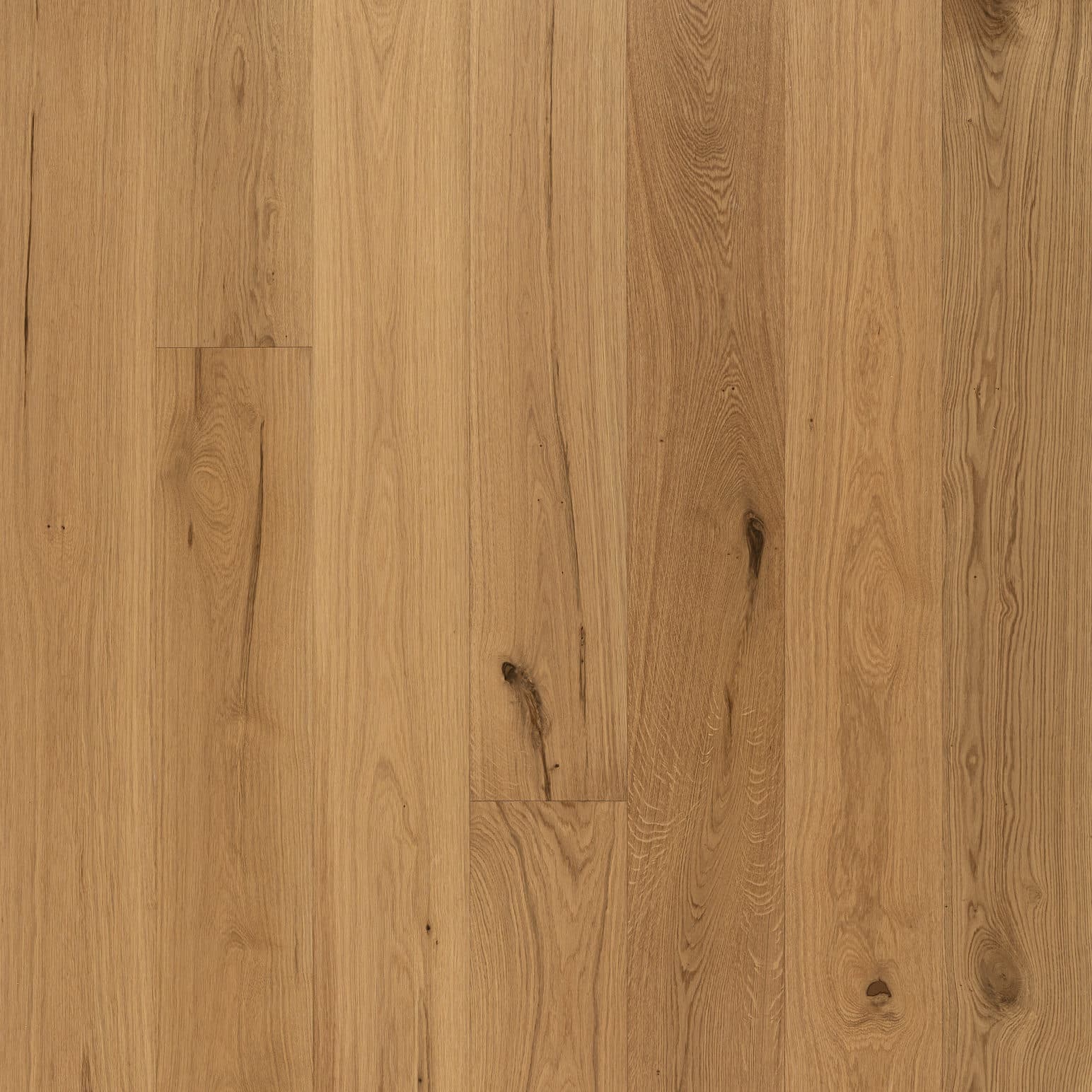 Tasman Oak