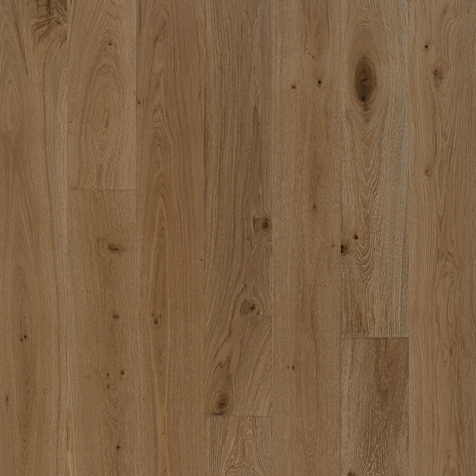 Smoulder Oak