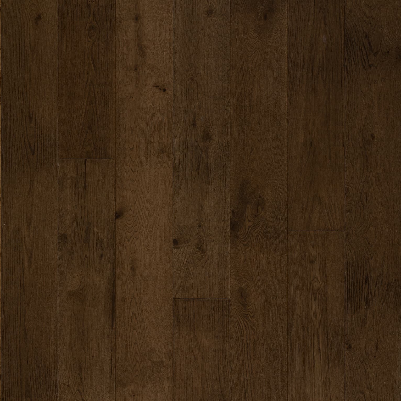 Latte Oak