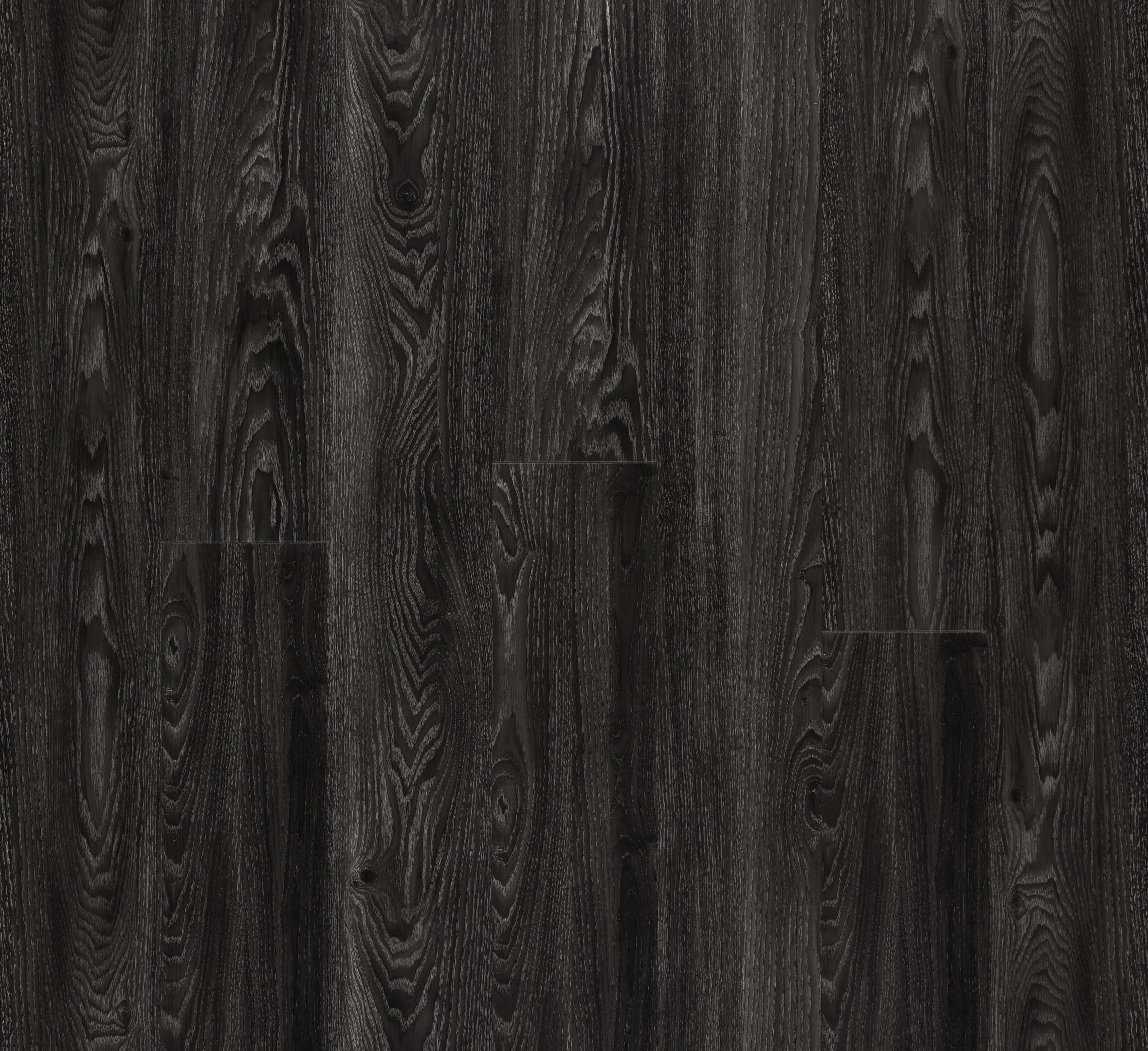 Midnight Oak