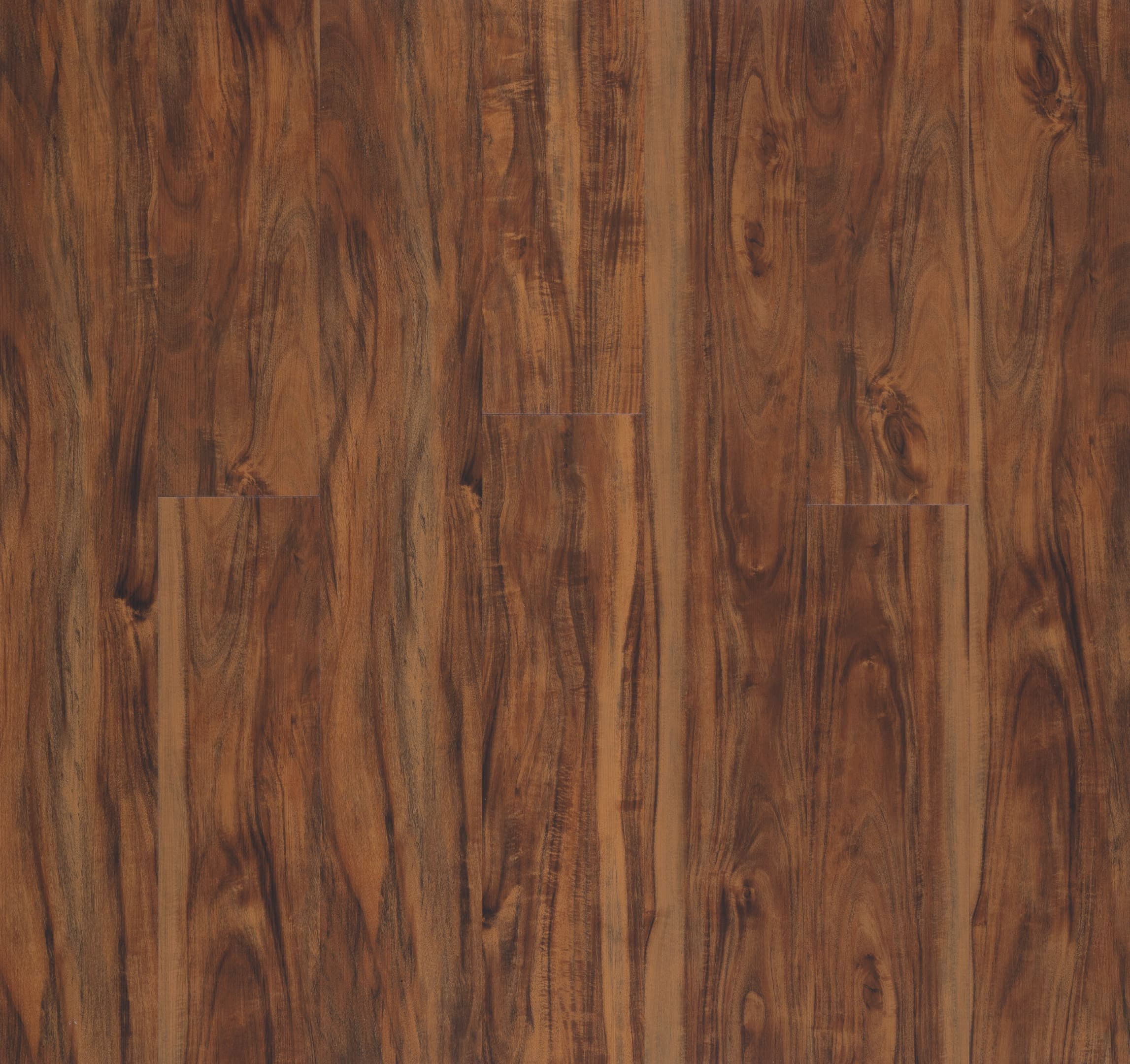 Sydney Blue Gum