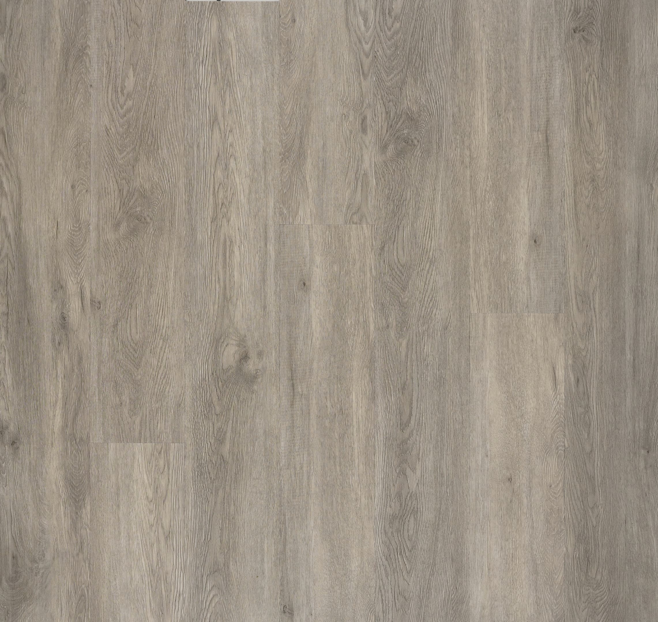 Ashen Oak