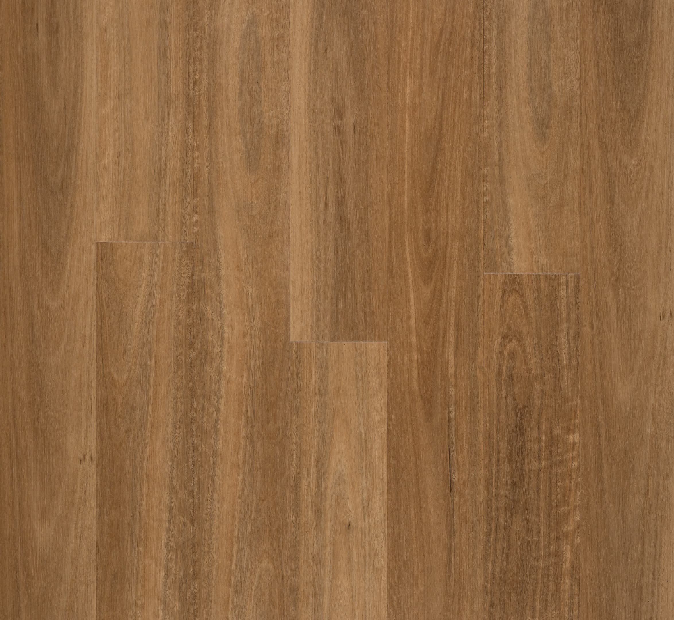 Spotted Gum
