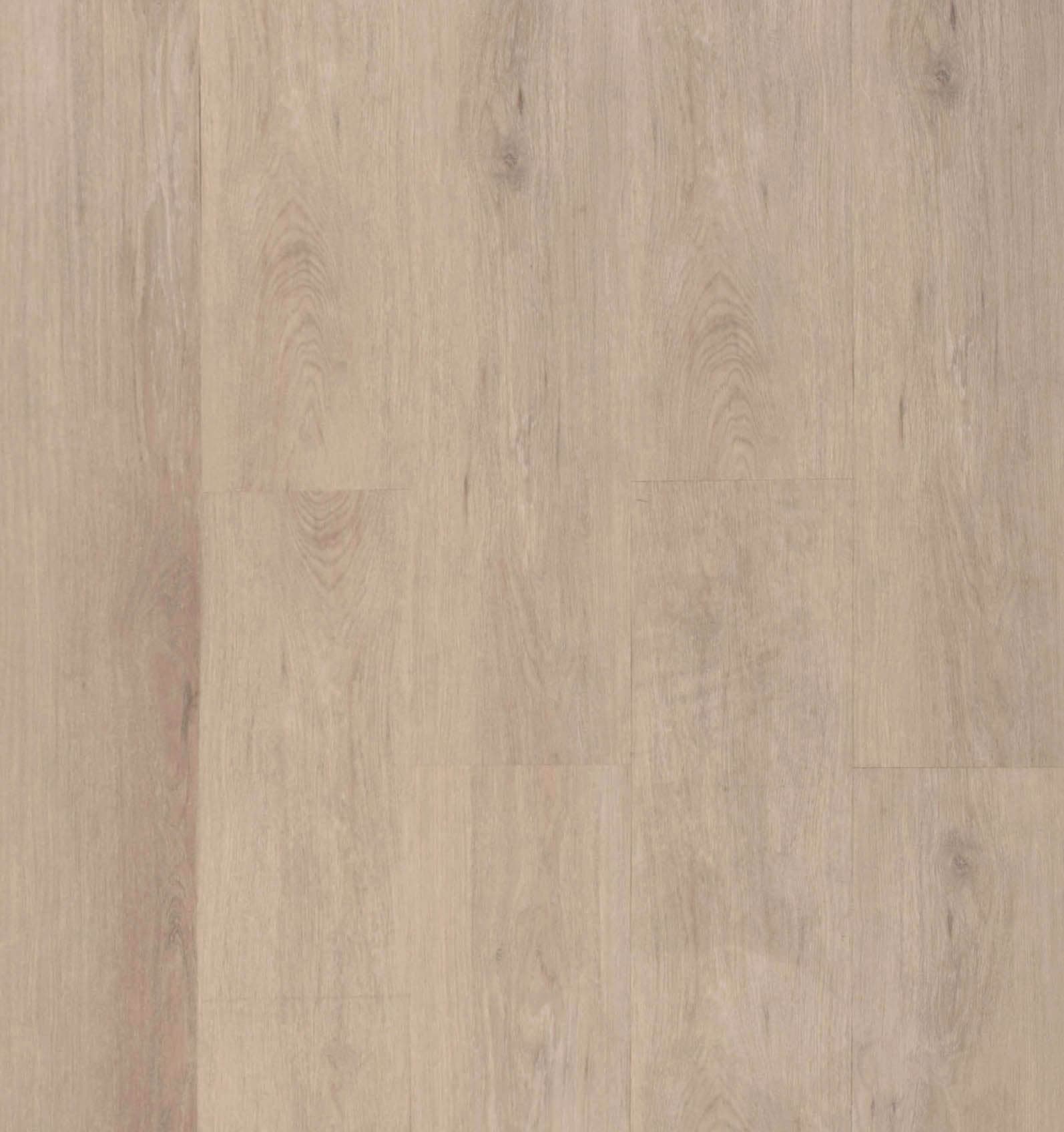 Urban Oak