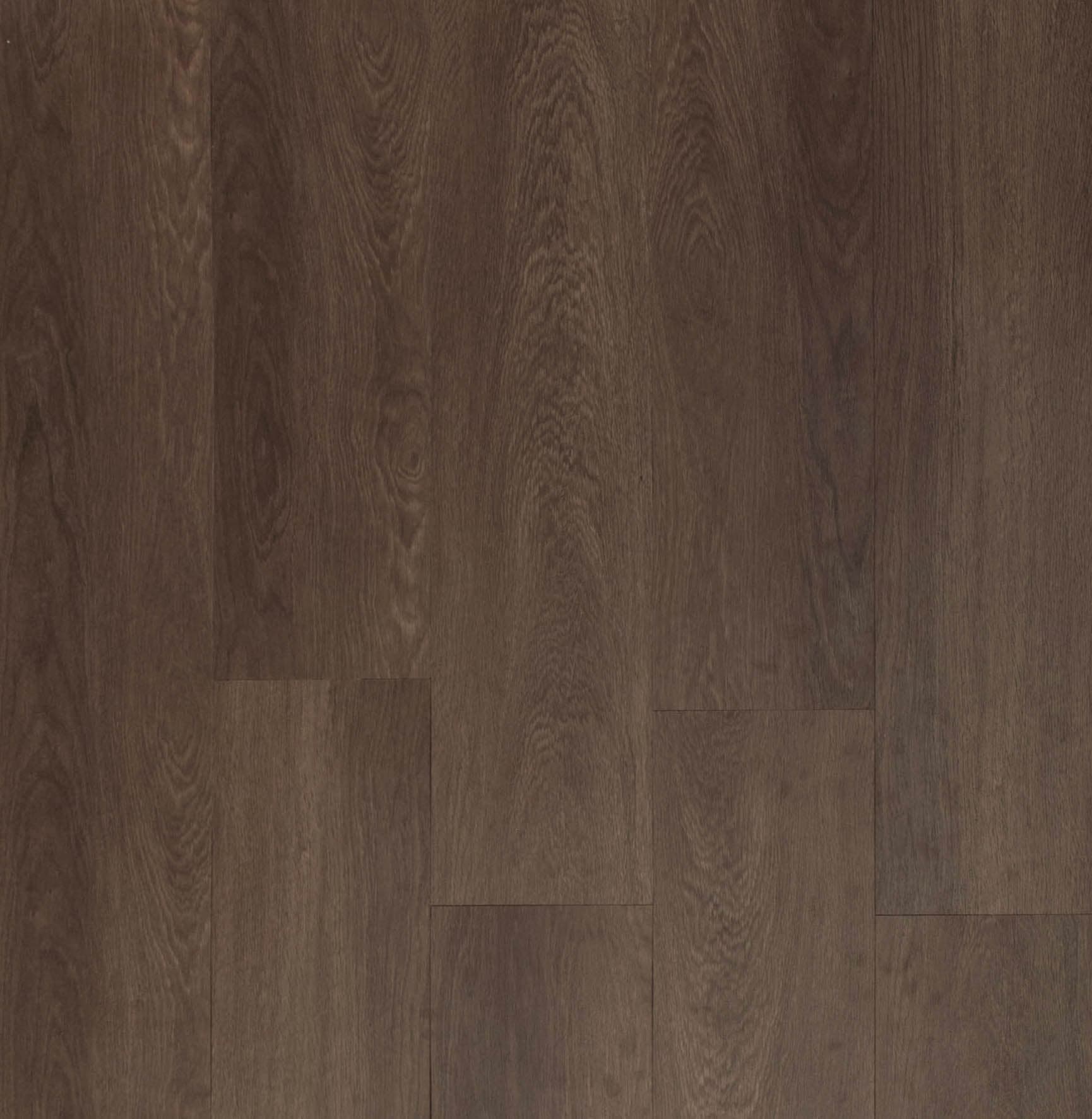 Saddle Oak
