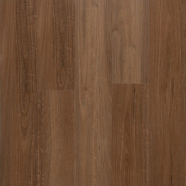 Spotted Gum