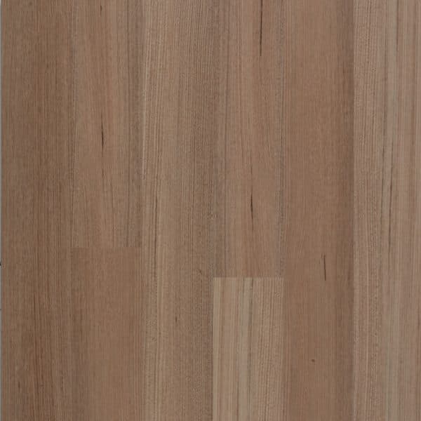 Tasmania Oak