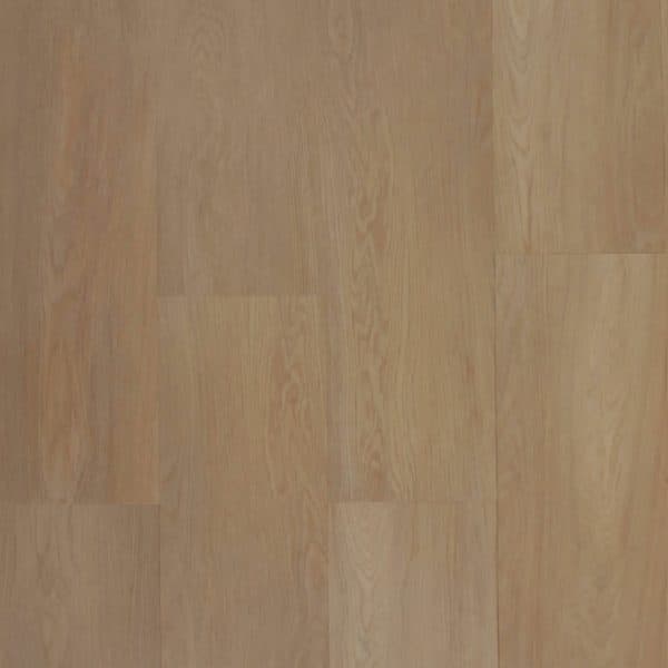 Coastal Spotted Gum