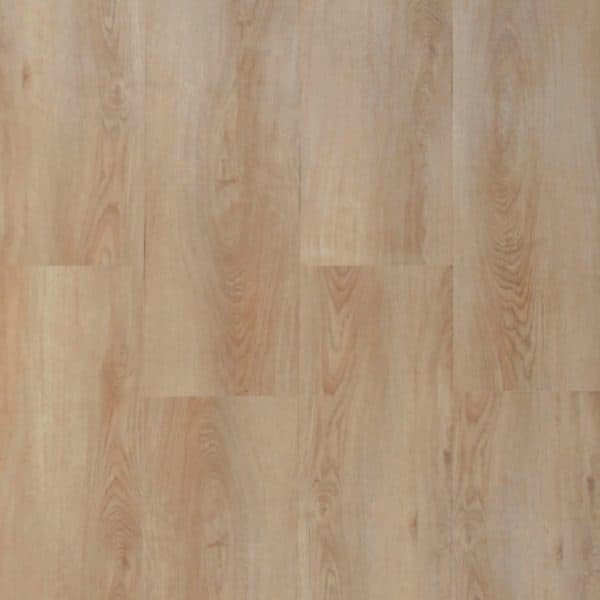 Chestnut Oak