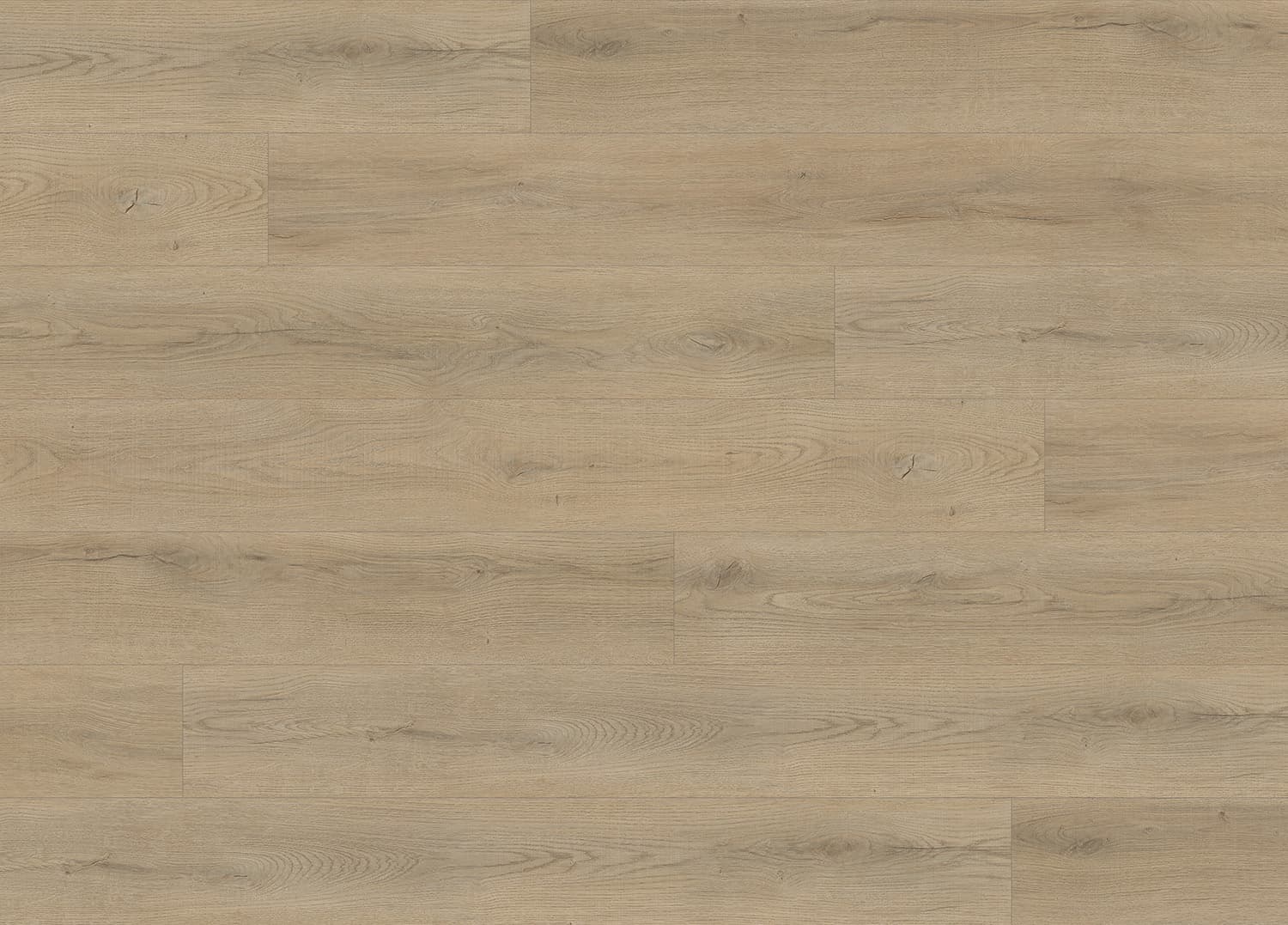 Alpine Oak