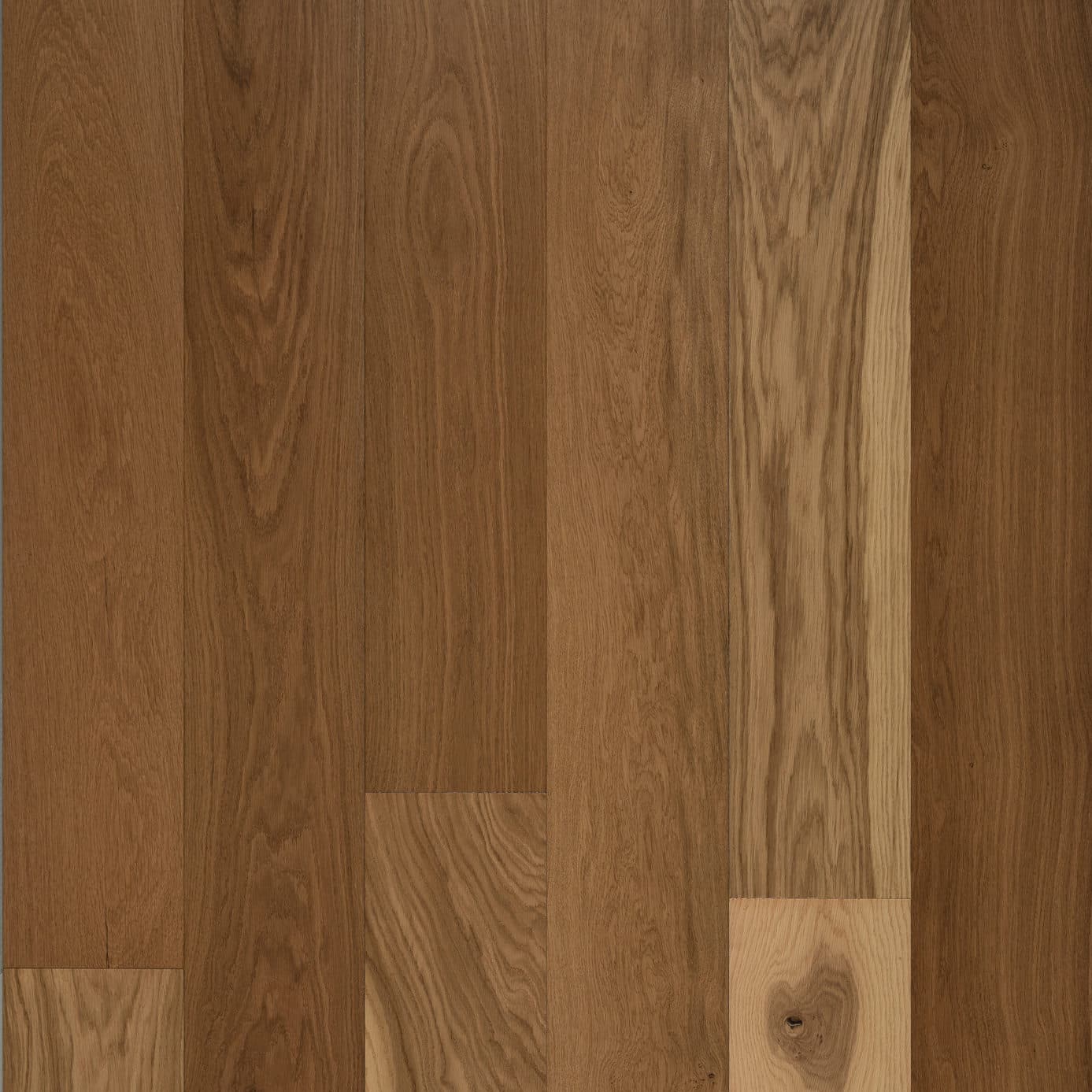 Tasman Oak