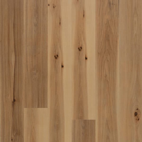 Hickory