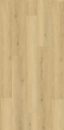 Cooloola Sand