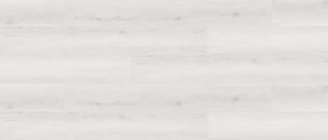 Silver Gum